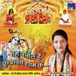 Hum Pagal Hai Vrindavan Dham Ke - Shyam Paliwal Song Download